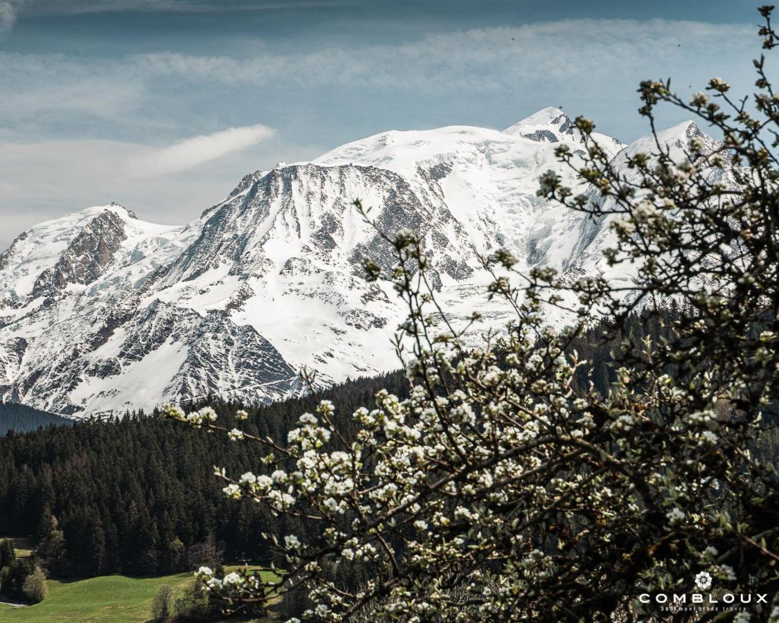 Chalet Alpen Valley, Mont-Blanc Combloux Dış mekan fotoğraf