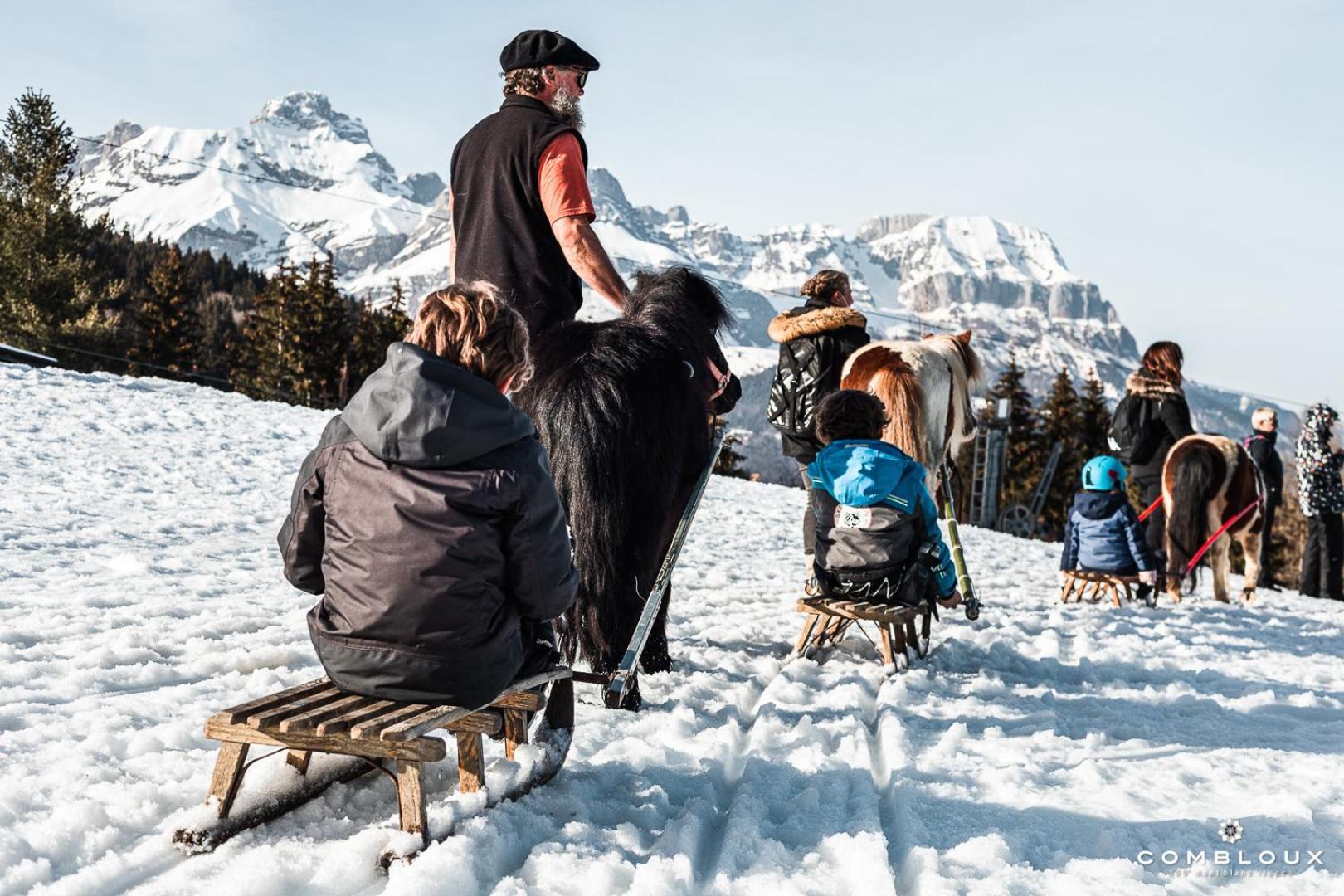 Chalet Alpen Valley, Mont-Blanc Combloux Dış mekan fotoğraf