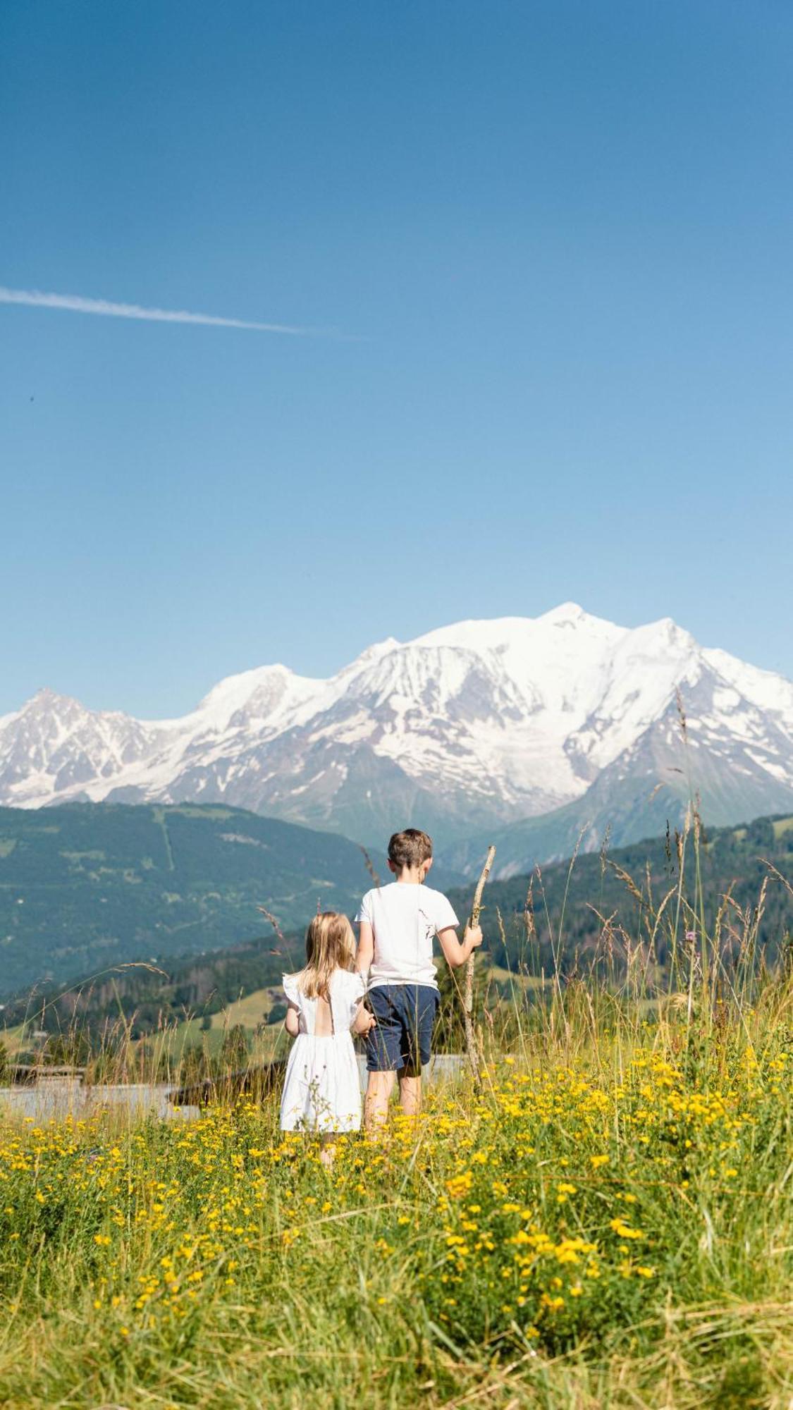 Chalet Alpen Valley, Mont-Blanc Combloux Dış mekan fotoğraf